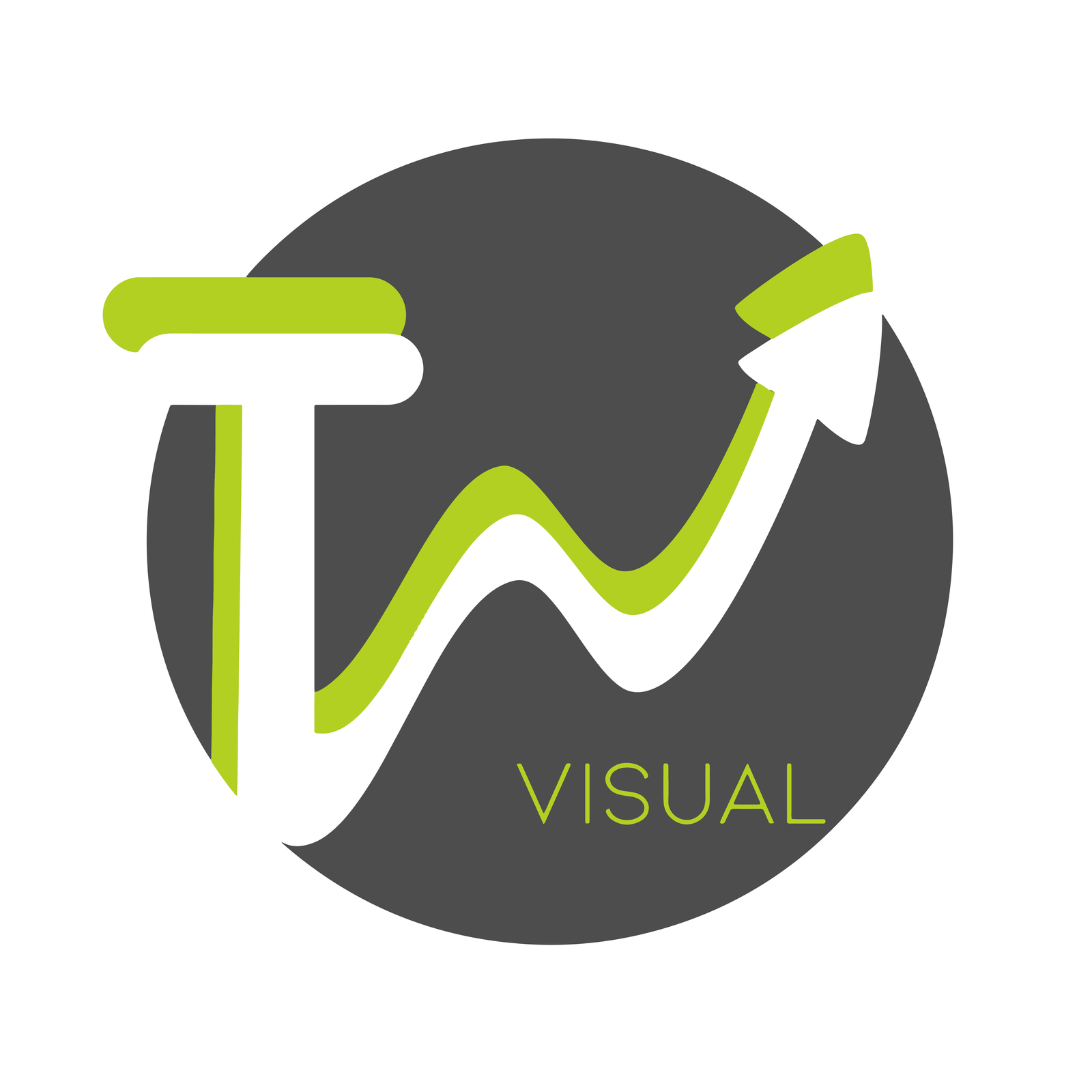 TepuyVisual - Cargando